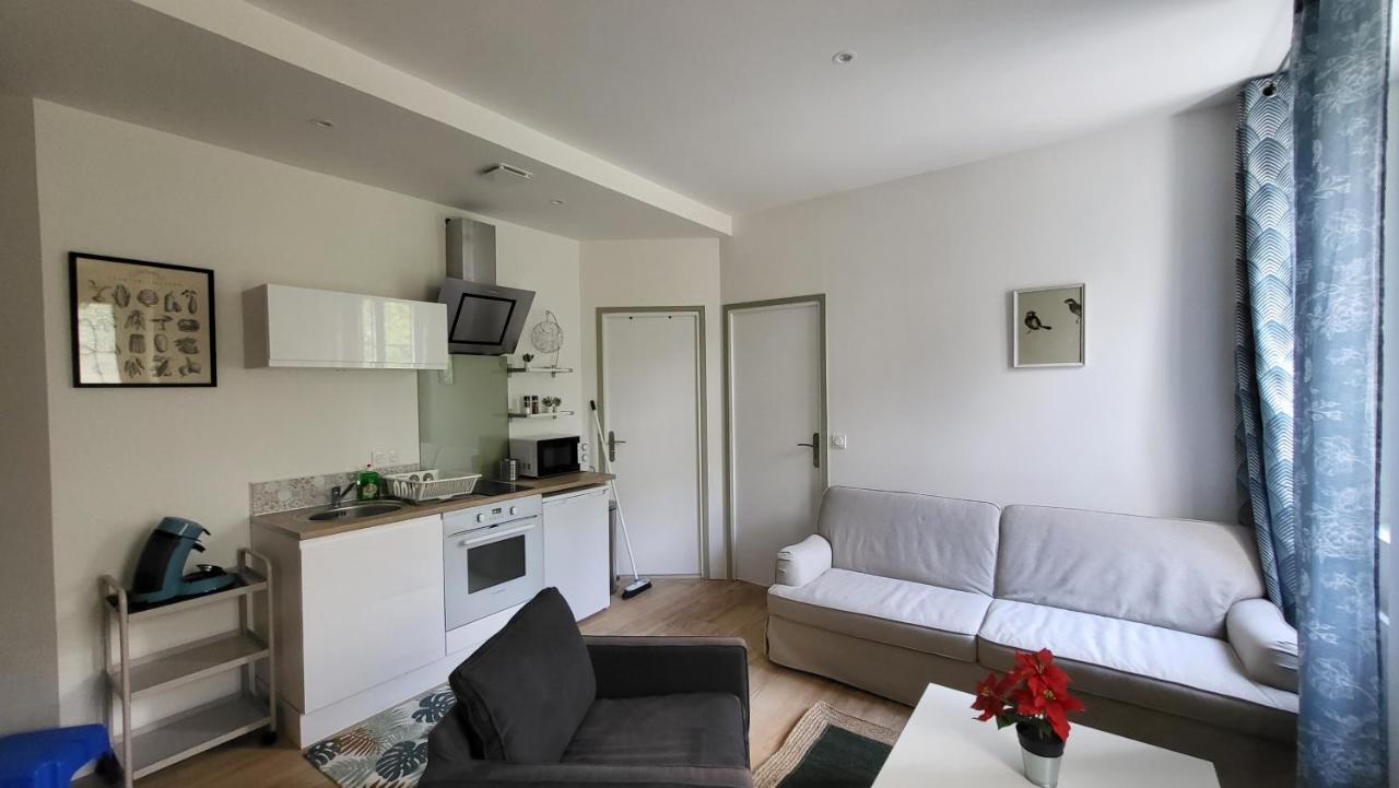 לורדה Charmant 2 Pieces Avec Terrasse Proche Centre Ville - Parking Gratuit A Proximite מראה חיצוני תמונה